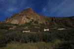 ecko ostrov Chios mastichov hj -  http://www.salviaparadise.cz/lecive-byliny-a-z-masticha-pistacia-lentiscus-c-13_270.html