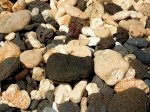 Maui stones &amp; corals ...  -  kameny a koraly na Maui ...