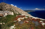 ecko ostrov Chios vykopvky Emporios