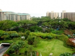 flora of Hawaii  -  havajsk flra