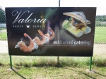 Ono je to toti tak. Kdy si vyberete tuto cateringovou firmu, nemete se splst. (reklama)