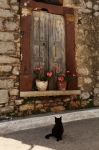 ecko ostrov Chios msteko Pyrgi - koika