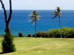 tropical breeze of Hawaii  -  tropick vnek Havaje